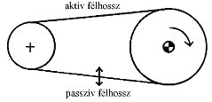 2009/04: Recognizing Machine Faults in Vibration Spectrum - Belt resonance occurrence (source: PIM)